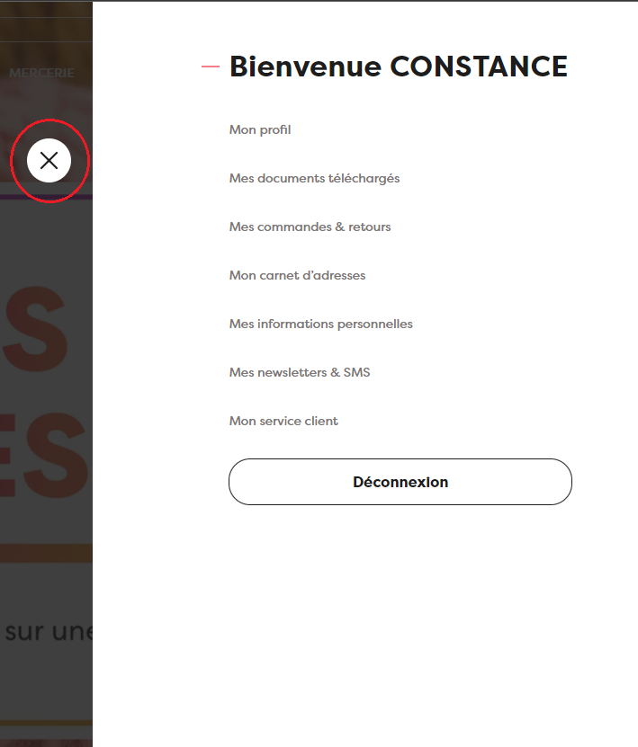 Capture d'écran 2024-06-21 115258.png
